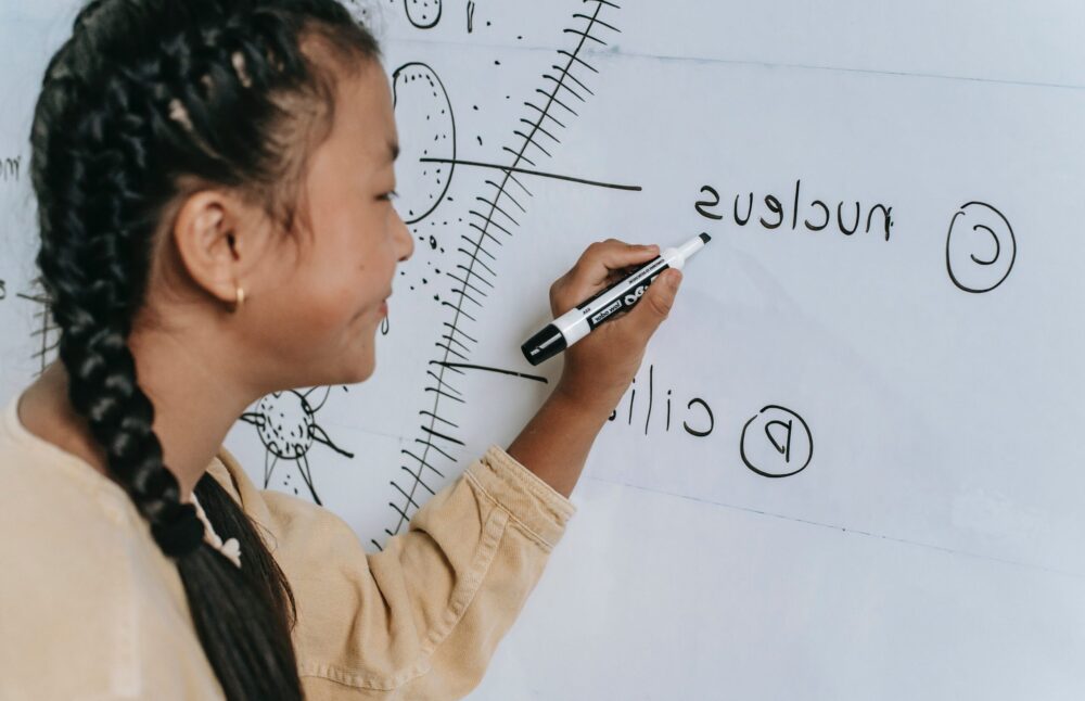 Discover what emotional intelligence (EQ)